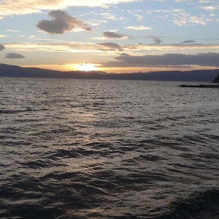 Villa Nestor Struga Bagian luar foto